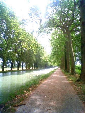 フランスの留学